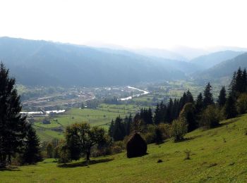 Tocht Te voet  - Lunca Bradului (DN15)-Șaua Negoiu - Photo