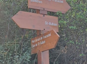 Randonnée Marche Saint-Auban - Porte du ciel grand circuit du tracastel  - Photo