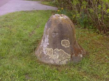 Percorso A piedi Eslohe - Cobbenrode Rundweg C7 - Photo