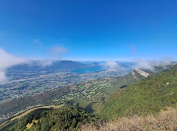 Tour Wandern Les Déserts - la croix du Nivollet  - Photo