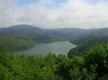 Percorso A piedi Hilchenbach - (N) Netphener Rundweg - Photo