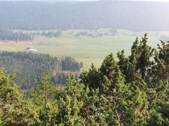 Tour Wandern Bois-d'Amont - la Roche du feux - Photo