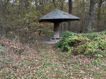 Tour Wandern Heimbach - Variante alla 19 dopo Schimdt Eifel - Photo