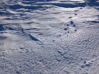 Percorso Racchette da neve Le Valtin - la schlucht raquettes  - Photo