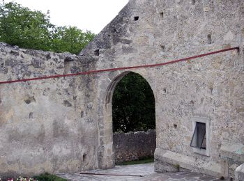 Percorso A piedi Gemeinde Würflach - Würflach - Lärbaumkreuz - Photo