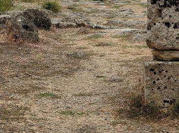 Tocht Auto Erice - Sicile_1 - Photo