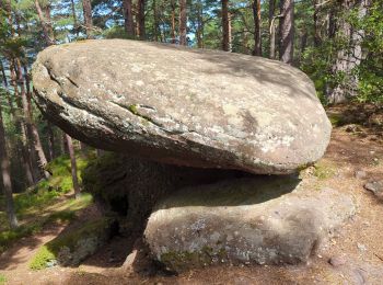 Tour Wandern Urbeis - Les Pierres tremblantes - Photo