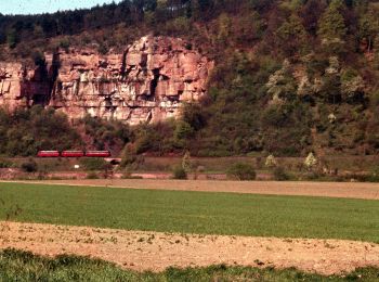 Randonnée A pied Großheubach - Großheubach Engelberg - Freudenberg - Photo