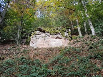 Tocht Te voet  - Ebersteinburg-Rundweg - Photo