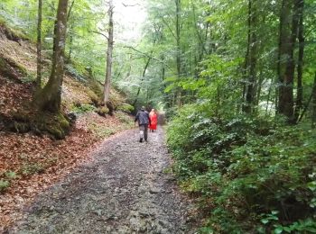 Percorso Marcia Sainte-Menehould - la Granges aux Bois complément - Photo