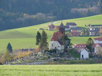 Tour Zu Fuß Gemeinde Krumbach - Krumbach - Lindenhof - Tripamer - Tiefenbach - Krumbach - Photo