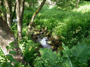 Tocht Te voet Marxzell - Marxzell - Ittersbach - Photo