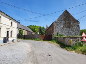Tour Wandern Florennes - Chaumont Florennes 010623 - Photo
