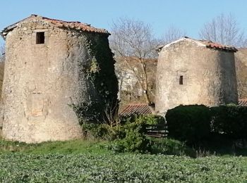 Tocht Stappen Arfons - mardi19mars - Photo