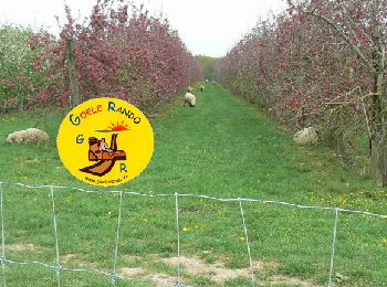 Trail Walking Versigny - SM_DROIZELLES_ 8Km - Photo