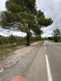 Trail Walking Signes - Boucle chemin des marseillais par château renard  - Photo