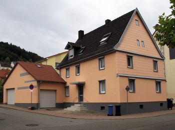 Randonnée A pied Rodalben - Rodalber Felsenwanderweg - Photo