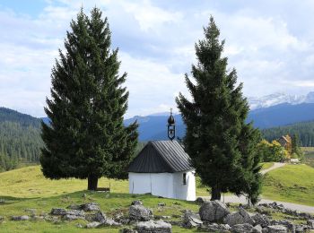 Randonnée A pied Gemeinde Unken - Wanderweg 8 - Unken - Photo