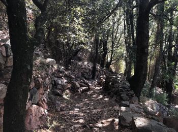 Randonnée Marche Ota - Gorge de spelunca - Photo