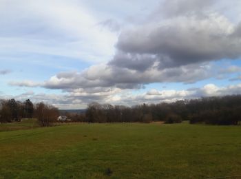 Randonnée Marche Trooz - entre beaufays et trooz - Photo