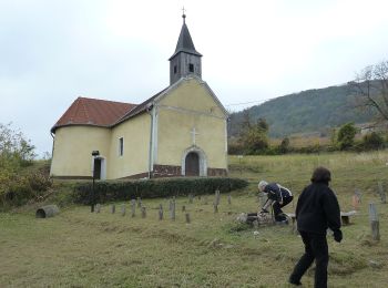 Percorso A piedi Magyarpolány - S (Somló) - Photo