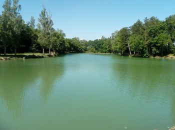 Randonnée Marche Saint-Félix-Lauragais - c2pa-lenclas-15/05 - Photo