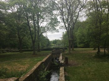 Trail Walking La Chapelle-sur-Erdre - La Chapelle sur Erdre - 13,5 - Photo