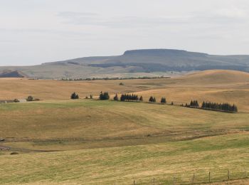 Trail On foot Saint-Alyre-ès-Montagne - Jassy - Photo