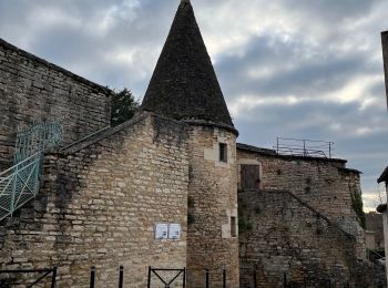 Randonnée Marche Beaune - Remparts de Beaune - Photo