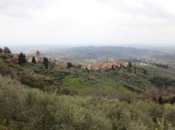 Trail On foot Capannori - Sentiero n.15 