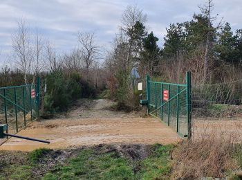 Tocht Stappen Martot - Forêt Bord Martot 10 km - Photo