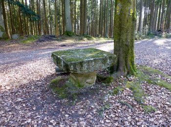 Randonnée A pied Fürth - Rundwanderweg Wegscheide II 3: Lärmfeuer-Weg - Photo