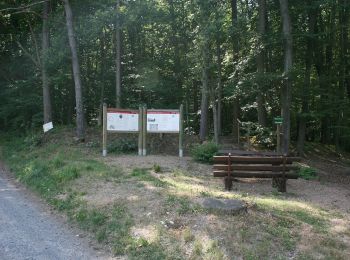 Percorso A piedi Lützelbach - Rundwanderweg Seckmauern 1 : Seckmauern-Weg - Photo