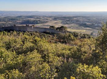 Excursión Senderismo Montpeyroux - Le Castellas de Montpeyroux - Photo