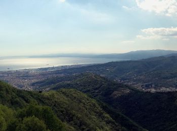 Tour Zu Fuß Genua - Borgoratti - Forte Ratti - Photo