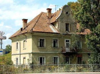 Excursión A pie Desconocido - Hörtendorf-Loretto - Photo