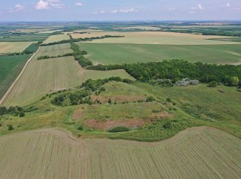 Tocht Te voet Sárkeresztúr - P+ (Sárbogárd - Nagylók - Sárkány-tó) - Photo