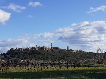 Excursión Senderismo Vers-Pont-du-Gard - vers castillon claude 5 2 20 - Photo