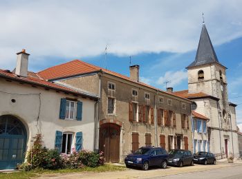 Tocht Stappen Praye - PRAYE - LA COLLINE DE SION-VAUDEMONT - Photo