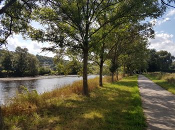 Randonnée Marche Esneux - Hony - La Roche aux Faucons - Esneux - Photo