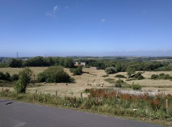 Percorso Marcia Saint-Martin-Boulogne - randonnée blanc pignon Mont Lambert - Photo