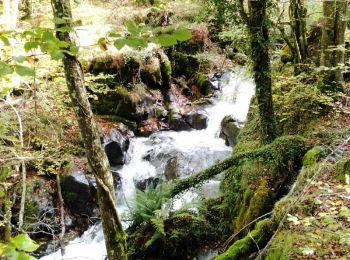 Randonnée Marche Donamaria - Cascades du Txaruta DONAMARIA Val Wikiloc. - Photo