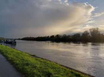 Randonnée Marche Amfreville-la-Mi-Voie - 20231107 Amfreville la mie voie - Photo