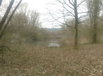 Tour Wandern Eijsden-Margraten - Oost Marland - Photo