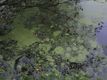 Excursión Senderismo Deinze - 19 km autour de Deinze et Machelen - Photo