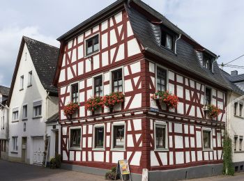 Tour Zu Fuß Osterspai - Rheinsteig-Zuweg Osterspai - Photo