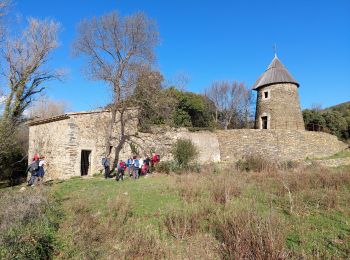 Tocht Stappen Cabrerolles - Cabrerolles - Photo