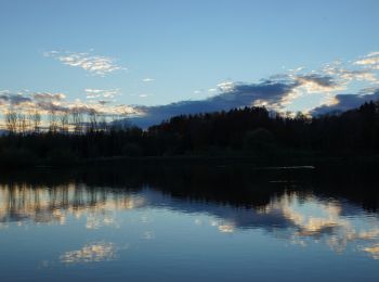 Tour Zu Fuß Wiesenbach - Tour 10 - Vogelparadies Oberegger Stausee - Photo