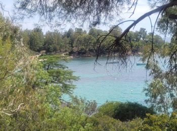 Randonnée Marche Cavalaire-sur-Mer - cavalaire sur mer/Bormes les mimosas village - Photo