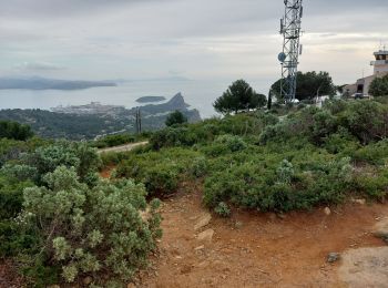 Excursión Senderismo La Ciotat - la ciotat ND la garde vers le sémaphore par les chemins  - Photo